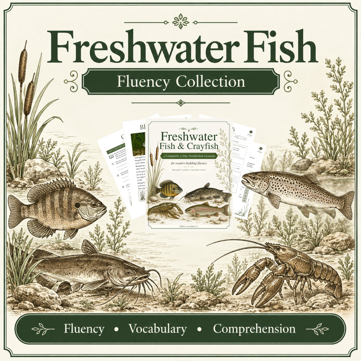 Freshwater Fish