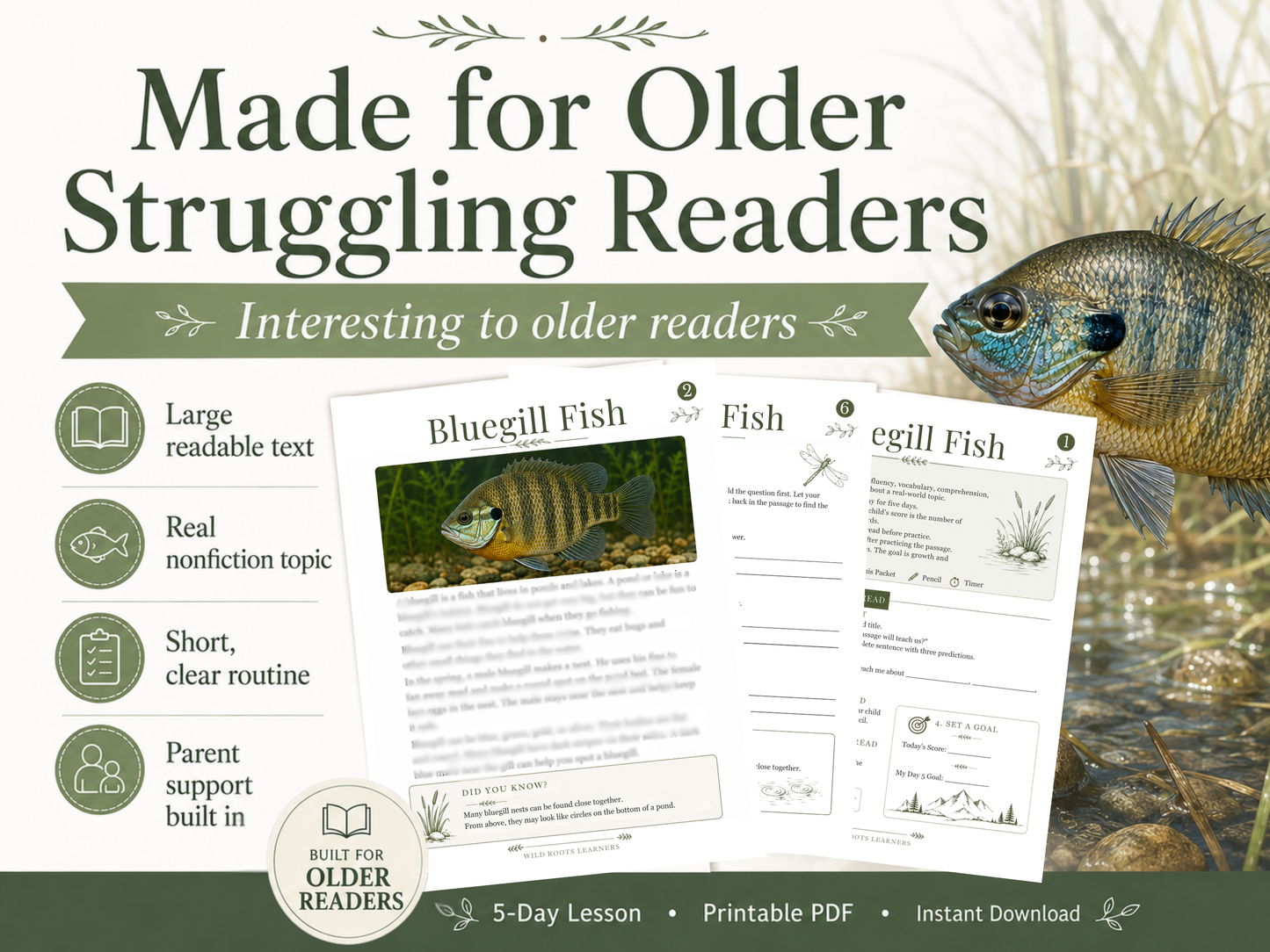 Bluegill Fish 5-Day Reading Fluency Lesson